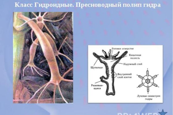 Регистрация на кракен